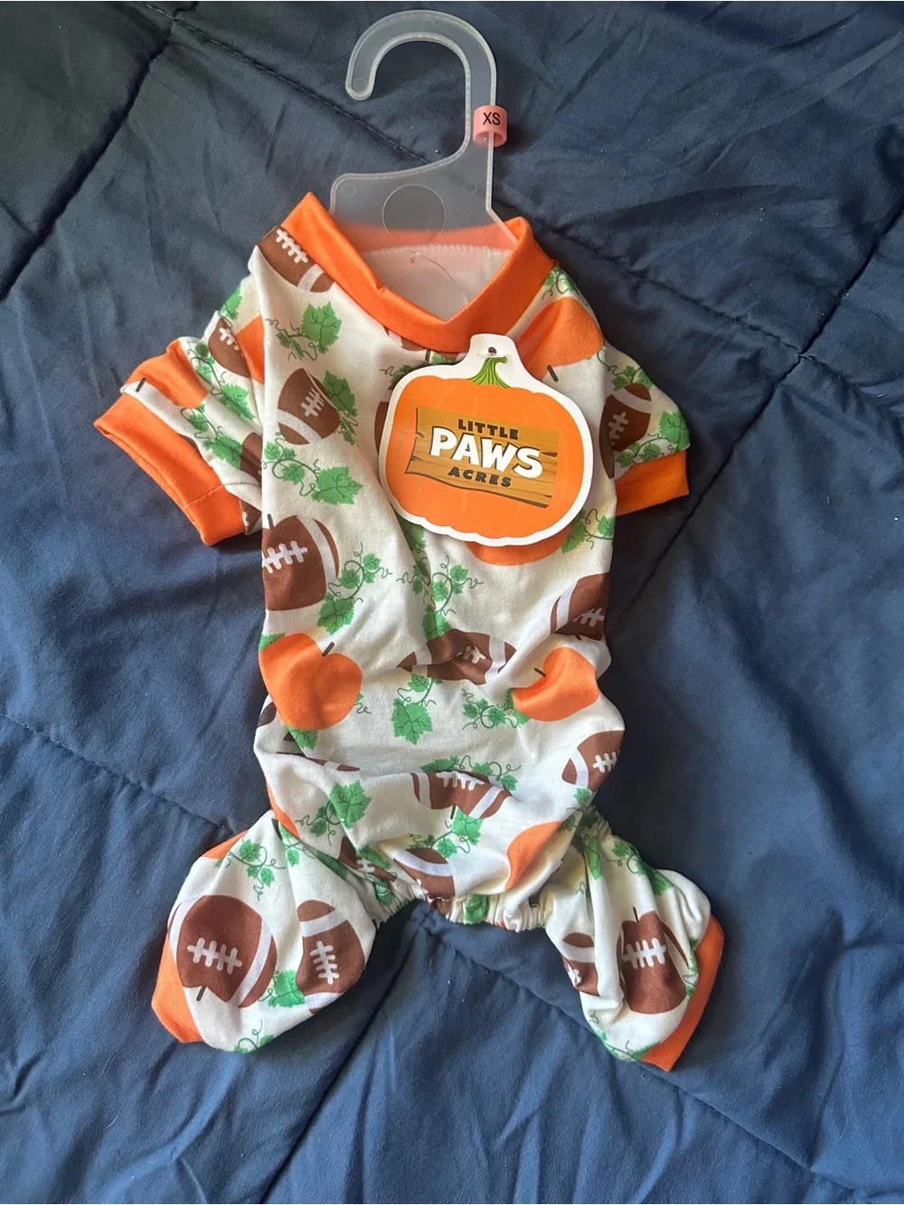 Dog outfit pumpkins, and football extra small